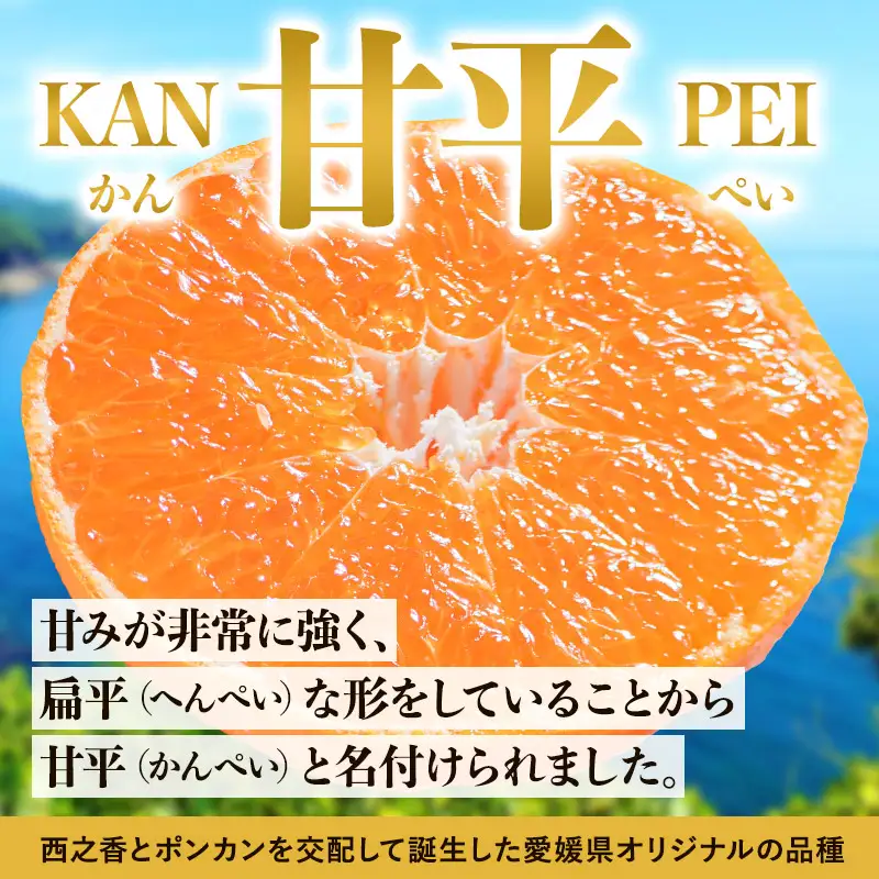【先行予約】甘平（2kg） 