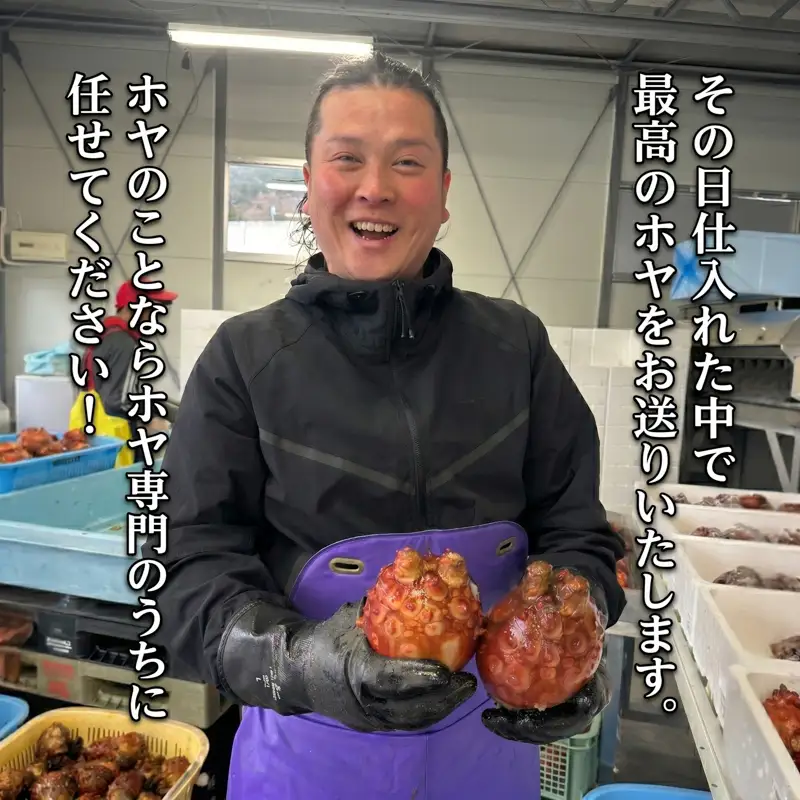 【先行予約】 ホヤ専門業者の殻付きホヤ 10個 ＼5月以降順次発送／