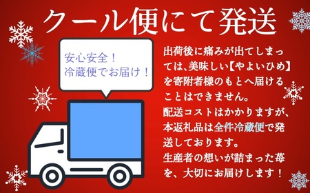 いちご やよいひめ 約450g～500g 12～15粒 【1月下旬～4月下旬頃に順次出荷予定】 いちご 