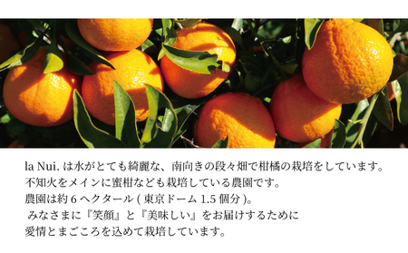 la Nui. 早摘み不知火酒 500ml クラフトサケ 	2本
