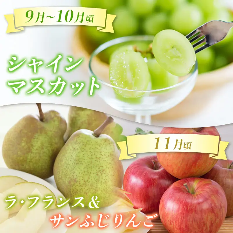 【定期便4回】☆んま～い山形☆5種フルーツ！4回楽しむ！定期便A(さくらんぼ佐藤錦、白桃、シャインマスカット、ラ・フランス、サンふじりんご) FY25-473
