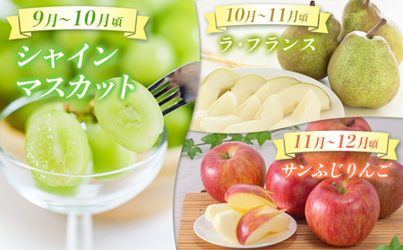 【定期便5回】☆んま～い山形☆ よく選ばれるフルーツ定期便(さくらんぼ佐藤錦／白桃／シャインマスカット／ラ・フランス／サンふじりんご) FY25-475