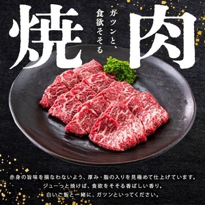 【小分け】＜A5等級＞鹿児島県産 黒毛和牛 牛肉 赤身 焼肉＆しゃぶしゃぶ セット (焼肉200g×1P/スライス200g×2P)＜計600g＞ a4-107