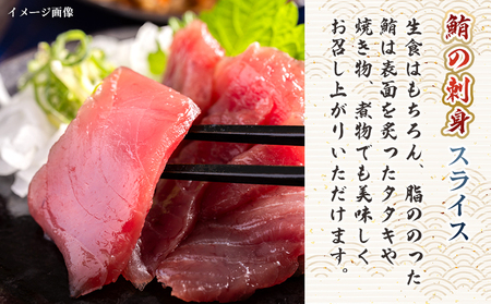 【定期便12回】マグロ 刺身 スライス 魚貝類 鮪 マグロ Wnz-0052