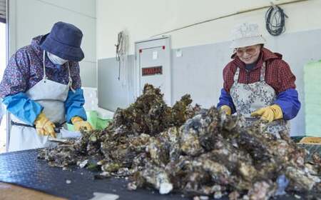 【訳あり/数量限定】 殻付き生牡蠣 約3kg 生食 冷蔵 三陸産 牡蠣 