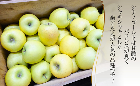 りんご【1月・2月発送】糖度13度以上 訳あり品 家庭用 シナノゴールド 約5kg【青森りんご 果物 フルーツ デザート 食後 青森県産 産地直送 贈り物】