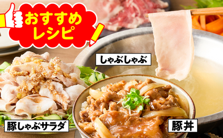 鹿児島県産 豚 バラエティセット 3.3kg KN165-001 肉 豚肉 冷凍