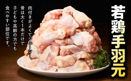 鹿児島県産 若鶏 手羽元 9.6kg セット KN165-005-02 肉 鶏肉 冷凍