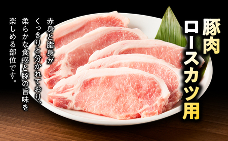 鹿児島県産 豚肉 ロース カツ用 3.2kg セット KN165-009 肉 冷凍