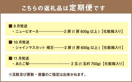 【3回定期便】岡山県産 フルーツ定期便コース （ニューピオーネ・ 晴王・あたご梨） 計約3.9kg 【2026年9月上旬発送開始】 ニューピオーネ シャインマスカット 晴王 ぶどう 葡萄 マスカット あたご 梨 なし フルーツ 果物 くだもの 岡山