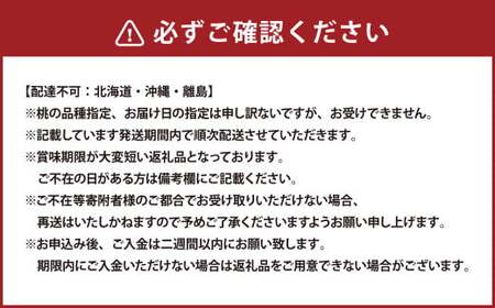 詰合 白桃 2玉 （1玉220g以上） シャインマスカット晴王 2房 （1房480g以上） 化粧箱入り 【2026年7月下旬～8月上旬迄発送予定】 果物 くだもの フルーツ 桃 もも モモ ぶどう ブドウ 葡萄 マスカット 詰合せ 詰め合わせ 岡山 おかやま 国産 冷蔵