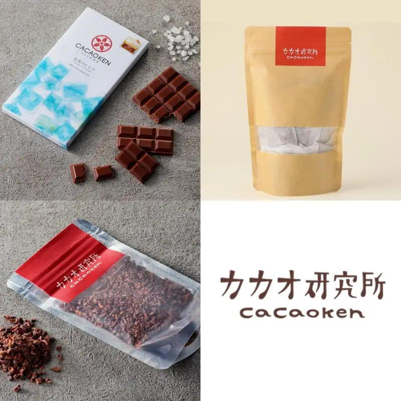 鉄板焼ハンバーグ(2種各2個)＆カカオ研究所 こだわりチョコセット【A7-077】