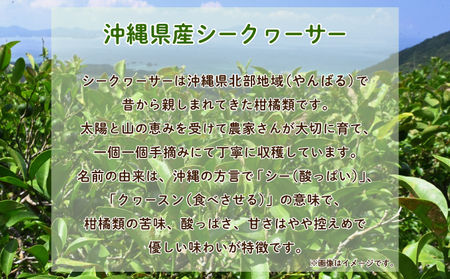 沖縄 シークヮサーパウダー 2袋セット 1袋160g (約20杯分) | 沖縄ウコン堂 国産製造 沖縄県産 | ノビレチン クエン酸 ビタミンC 人工甘味料不使用 健康 美容 | お手軽 ジュース パウダー 粉末 | 沖縄県 宜野湾市 送料無料