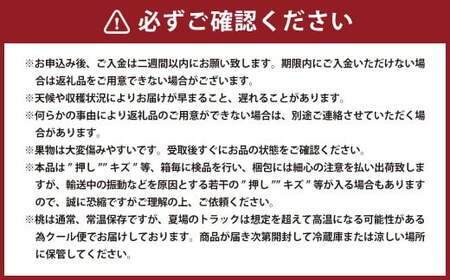 岡山 白桃 ロイヤル 5玉 （合計1.5kg以上） 化粧箱入り 【2026年7月上旬～8月上旬迄発送予定】 はくとう モモ もも 桃 フルーツ 果物 くだもの 冷蔵