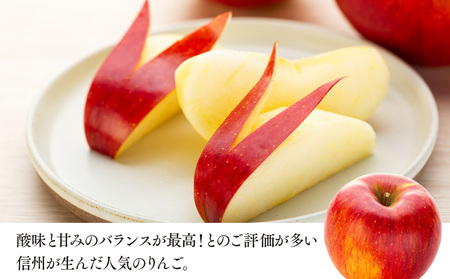 信州りんご シナノスイート 3kg ※クレジット決済限定 りんご リンゴ 林檎 長野 フルーツ 果物 信州産 長野県産 特産 産地直送 おすすめ