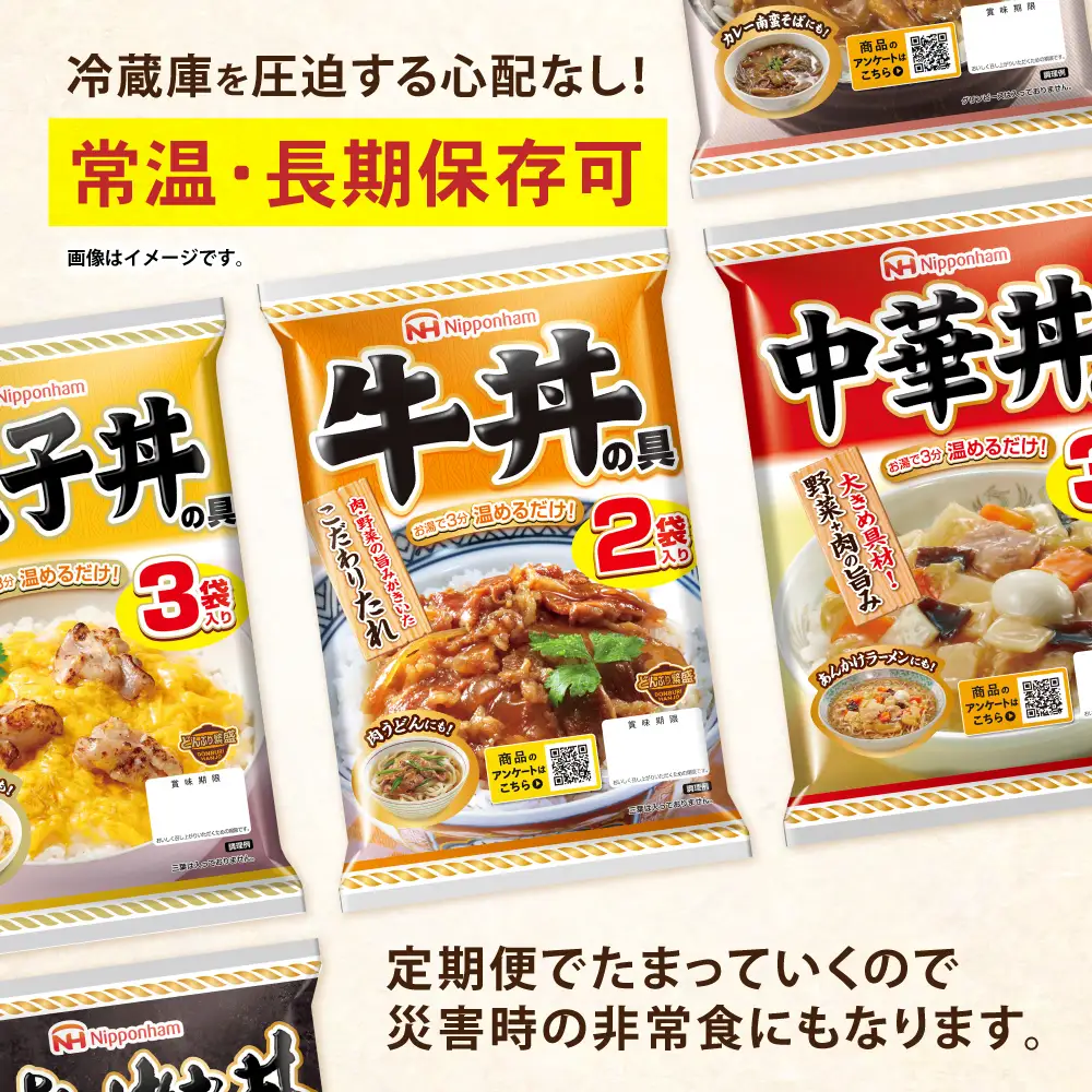 【6回定期便】仕送り定期便（丼コース） 6種 170食分 / 小分け レトルト どんぶり 丼 簡単 温める 仕送り 大学生 一人暮らし 単身赴任 防災 保存食 長期保存 常温 / 諫早市 / 日本ハム[AHAL029]