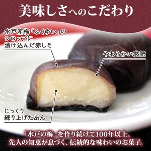 【TVで紹介されました】水戸の梅 5個入 1箱【銘菓 和菓子 白あん 求肥 赤しそ 梅 スイーツ 和スイーツ デザート お菓子 おやつ 老舗 和菓子店 お取り寄せ ギフト お土産 手土産 贈答用 亀印製菓 茨城県 水戸市】（MP-29)