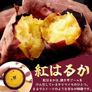 スイートポテトクッキー 10個入 1箱（MP-32）