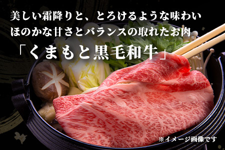 くまもと黒毛和牛 赤身 スライス 合計 600g  113-0554