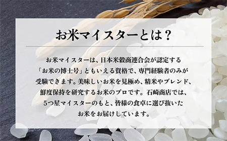 734 茨城県産 こしひかり 米 10kg (5kg×2袋)【石崎商店】