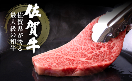 佐賀牛ヒレステーキ360g(180g×2枚) ヒレサイコロステーキ400g 計760g