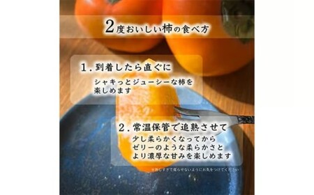 先行受付!　柿　種無し　赤秀品　大玉　5～6個　約2kg