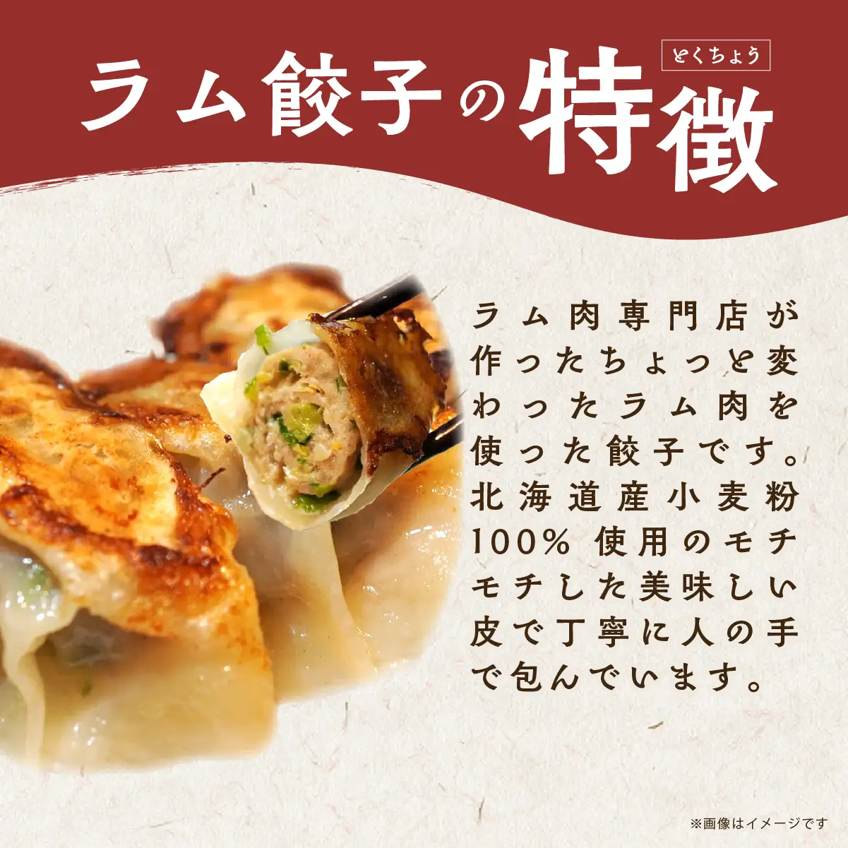 ラム肉専門店の作った手作りラム餃子 40個 MROA156