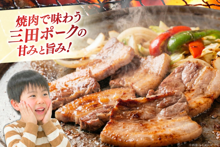 豚肉 小分け 兵庫県産 三田ポーク 焼肉用 3種 500g 計 1.5kg ロース 肩ロース バラ セット [パスカルさんだ 兵庫県 三田市 3d28bae660043]