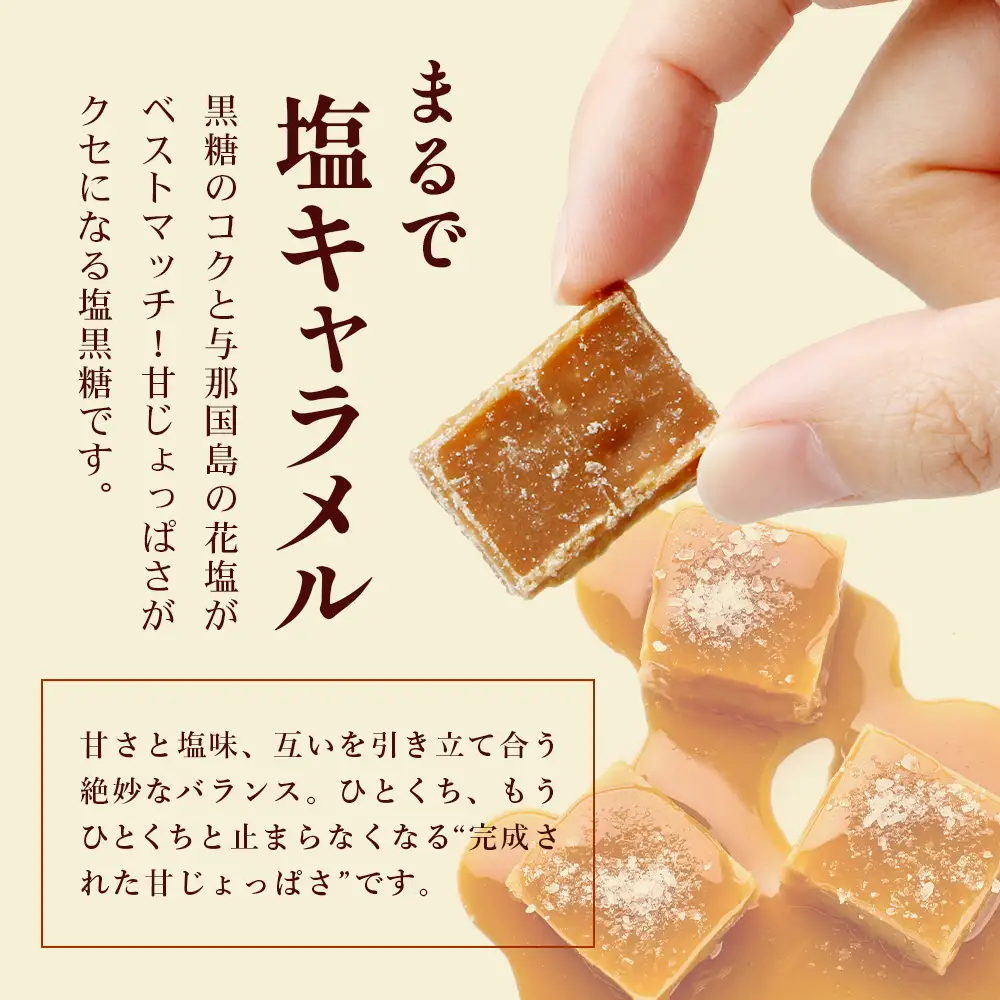 与那国島 塩黒糖（100g）×10袋 A007 ｜ 沖縄県 与那国町 塩 海塩 黒糖 スィーツ
