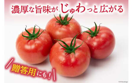 【2026年発送】秋作 トマト 桃太郎 約1kg [ヨダファーム 山梨県 中央市 21470962] とまと tomato 野菜 やさい 1キロ 季節限定 期間限定 産地直送 山梨県産【2026年10月下旬-12月下旬発送予定】