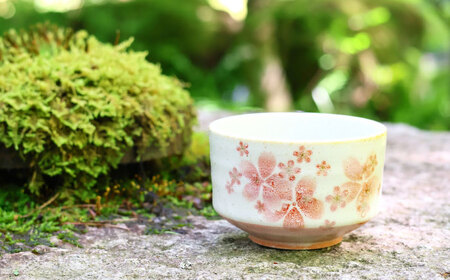 【美濃焼】 茶楽 舞桜 抹茶碗 桜木箱入【株式会社二幸】 抹茶茶碗 茶道[MCZ154]