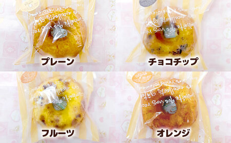 エベーヌの焼きドーナツ10個入り[AQAB012] ドーナツ