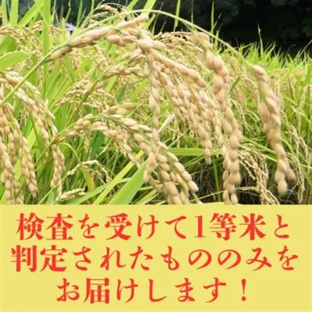 【令和7年産米】大阪府豊能町産　キヌヒカリ　精米5kg×2　生産者限定米【1706504】