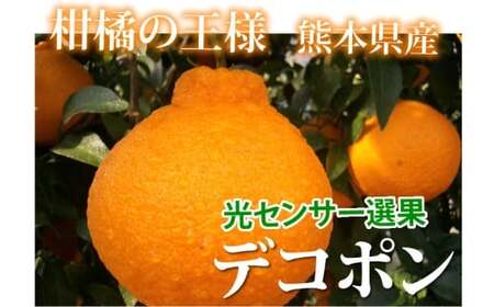 デコポン I12光センサー選果 約2kg （5～10玉） 【2026年12月上旬～2027年5月下旬発送予定】 でこぽん 蜜柑 みかん 果物 果実 フルーツ 熊本県 熊本市 常温