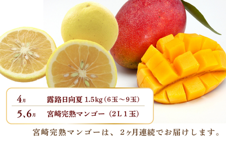 【全6回お届け】宮崎県綾町産 果物定期便 [X22]_0113-005