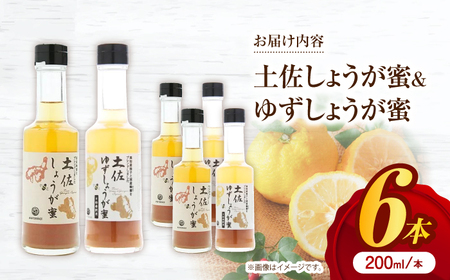 土佐しょうが蜜・ゆずしょうが蜜6本セット/ 土佐生姜 ほっこりジンジャー【はるのTERRACE】[ATAV011]