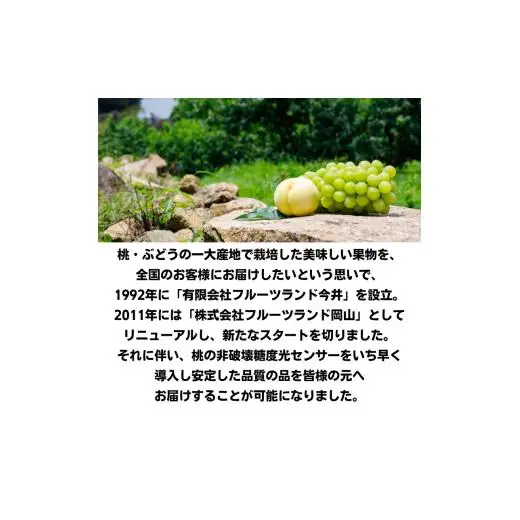 桃太郎ぶどう 1房 約500g 【先行予約 2026年8月下旬から順次発送】
