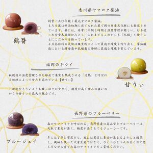 厳選 素材 の あんこ 玉 9種 | スイーツ お菓子 和菓子 餡子 あんこ フルーツ 果物 おやつ ご褒美 長野県 飯田市