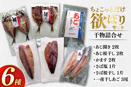 干物 ちょこっとだけ干物 セット 6種 [篠崎海産物店 長崎県 平戸市 hr42bgy410217]