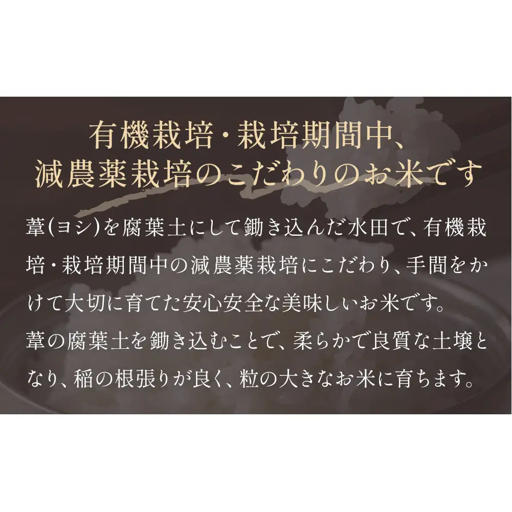 令和7年産 ササニシキ 精米 10kg（5kg×2）単品
