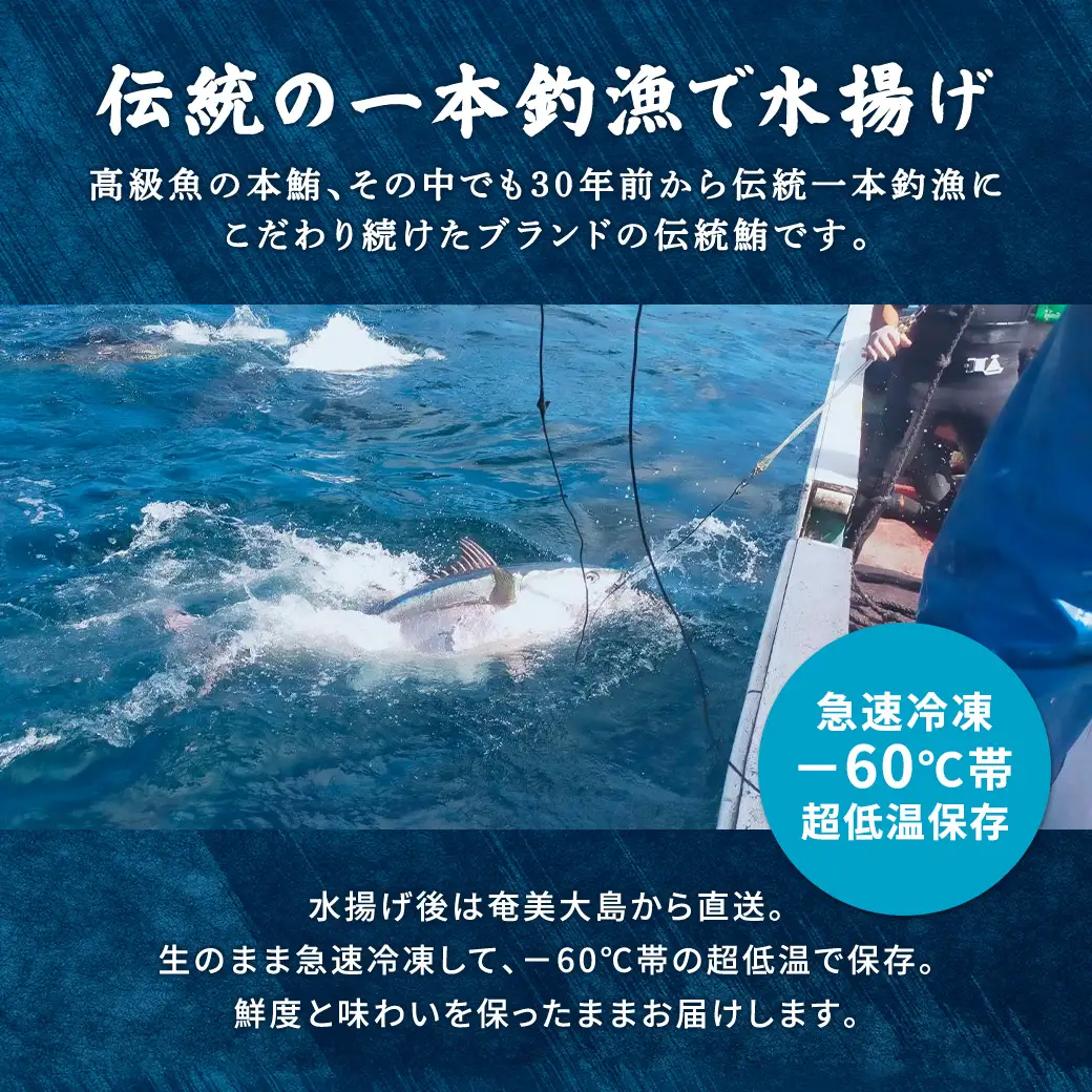 奄美大島 伝統鮪 厚切り 中トロ・赤身（各1柵 各250g）セット 柵 冷凍 鮪 まぐろ 海鮮 刺し身 お刺身 さしみ 生食用 赤身 中トロ 鹿児島県 奄美大島 宇検村