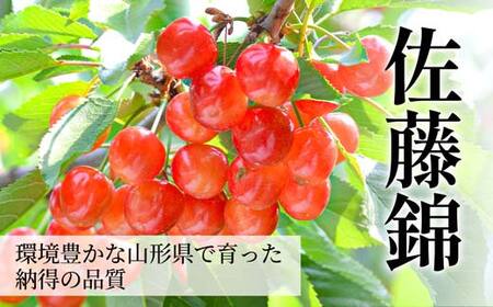 さくらんぼ 佐藤錦 300g L玉 秀品 1パック バラ詰め 山形県産 化粧箱入り 【令和8年度 先行予約】 FSY-2790