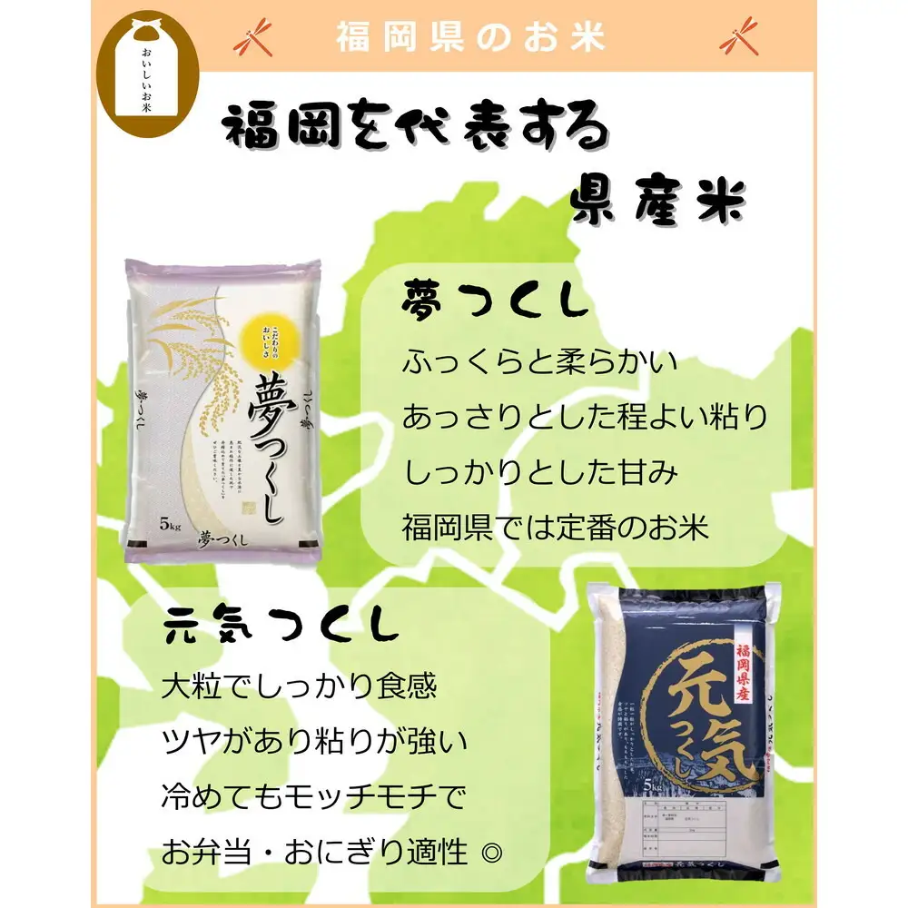 福岡県産 元気つくし 10kg (5kg×2袋) (令和7年産)