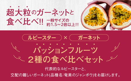 かさり パッションフルーツ 食べ比べ セット2kg A072-006 フルーツ 果物 期間限定