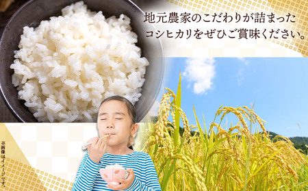 令和7年産 無洗米 コシヒカリ 計約3.6kg cs-0003