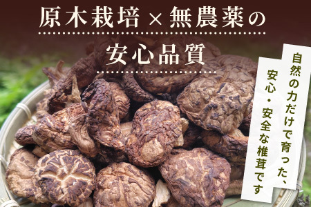 無農薬 原木栽培 肉厚 とよくに清流 ほししいたけ 40ｇ しいたけ 椎茸 シイタケ 原木椎茸 野菜 きのこ 無農薬栽培 干ししいたけ 乾燥しいたけ 干し椎茸 バーベキュー お試し 煮物 -347