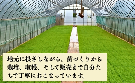 【先行予約】【定期便】令和8年産 コシヒカリ 精米5kg×6ヶ月（毎月） お米 白米 こしひかり｜石川県 小松市【元田農産】