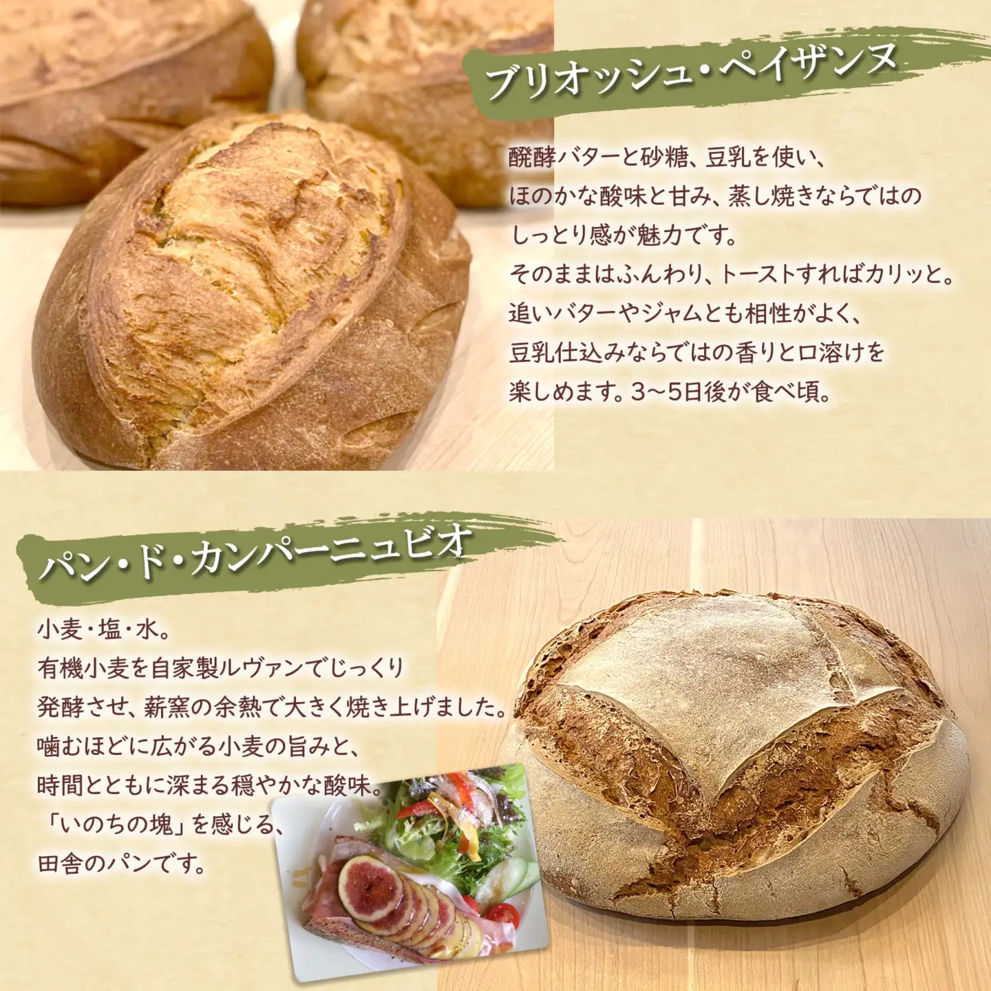 【薪窯焼き】香り高い大きなパン 3種セット (カンパーニュ・レザン・ブリオッシュ) ハード系パン レーズン パン セット K2686