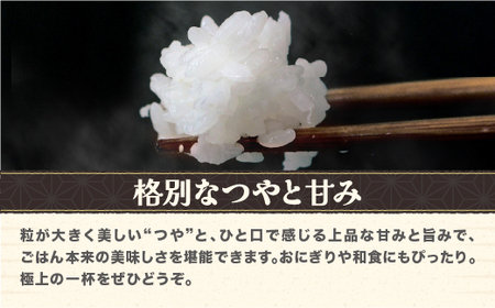 令和7年産 玄米 つや姫 特別栽培米 30kg kg-tsgxa30