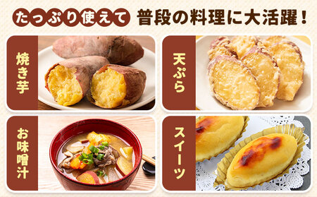 【先行予約】訳あり さつまいも 約5kg 日本フルーツ株式会社《2026年10月上旬-11月中旬頃出荷》熊本県 菊池市 さつまいも サツマイモ 訳あり 熊本県産
